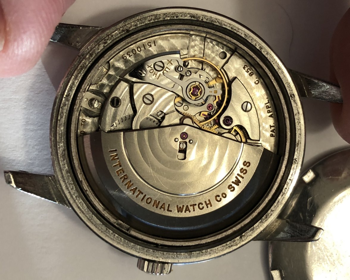 IMG_0370.jpeg IMG_0370.jpeg