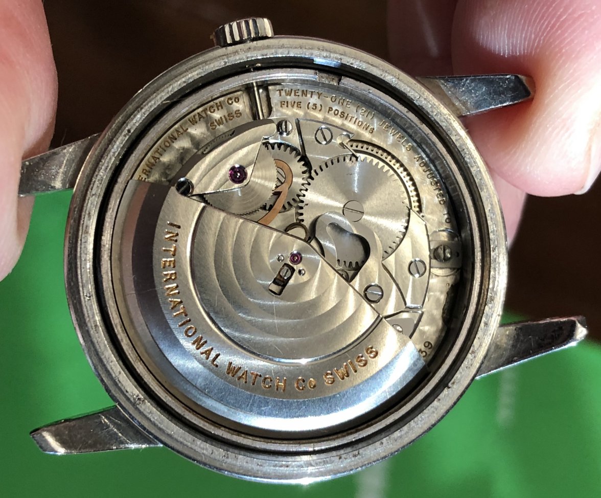 IMG_0371.jpeg IMG_0371.jpeg