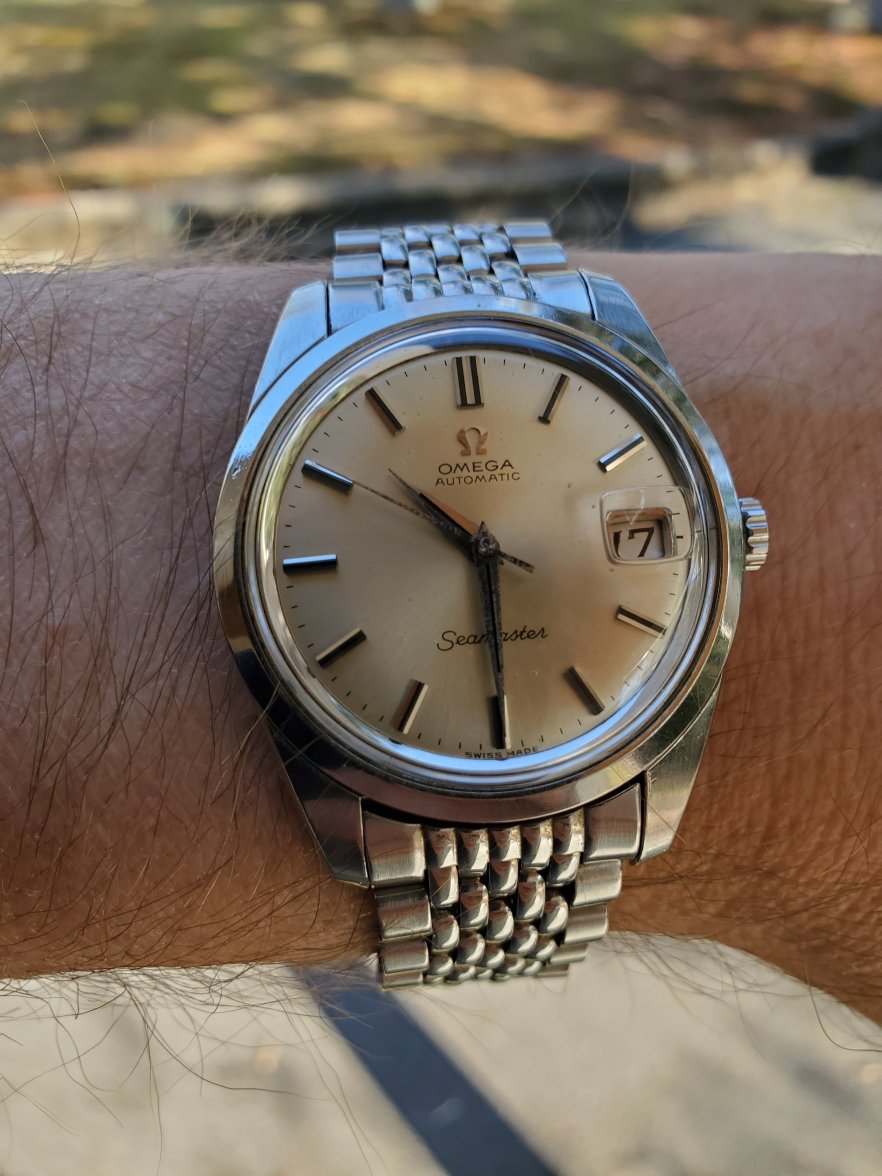 seamaster 166010.jpg