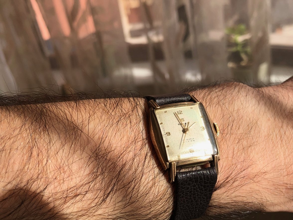 IMG_5235.jpeg IMG_5235.jpeg