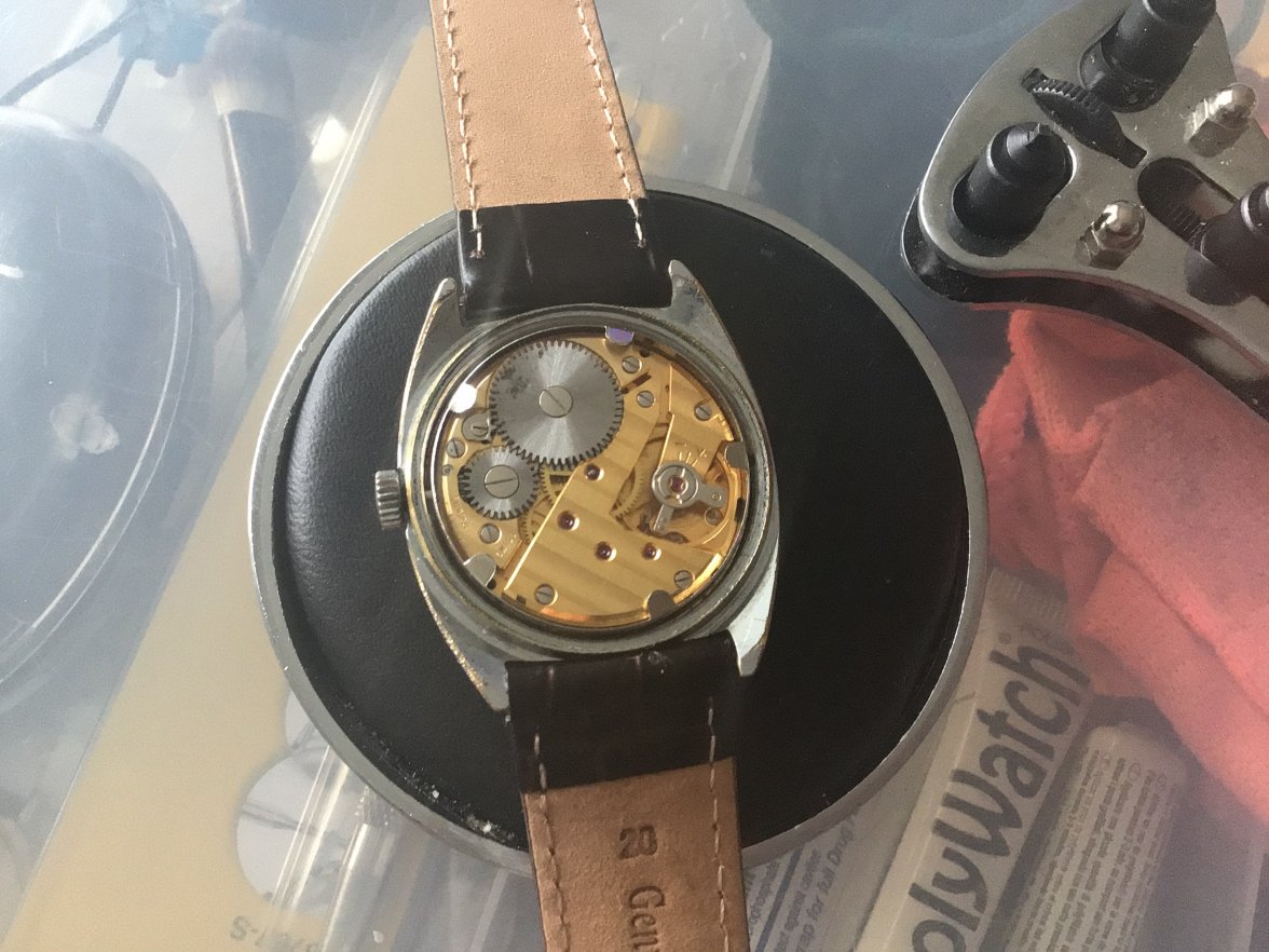 1AFF1B20-E7C8-459A-A4D7-4572007AA061.jpeg 1AFF1B20-E7C8-459A-A4D7-4572007AA061.jpeg