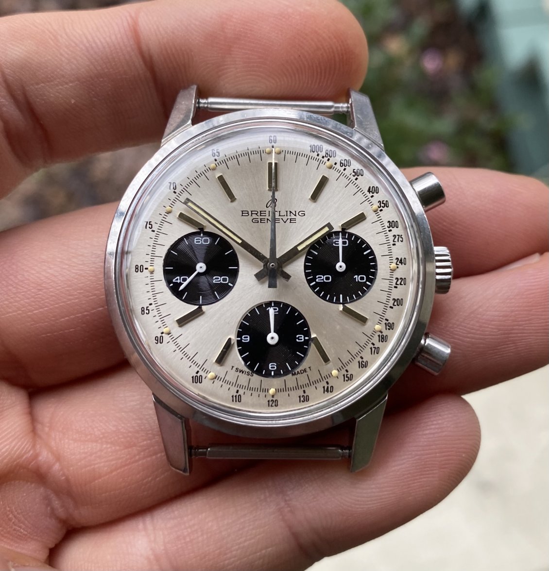 626B3421-CAD5-4994-9599-EDE97B6B8662.jpeg 626B3421-CAD5-4994-9599-EDE97B6B8662.jpeg