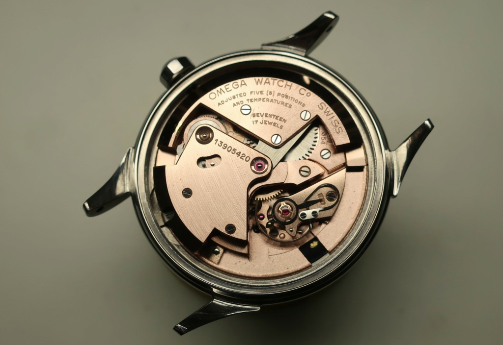 213E069A-A780-47B5-8A38-7BCA533E1F1D.jpeg 213E069A-A780-47B5-8A38-7BCA533E1F1D.jpeg