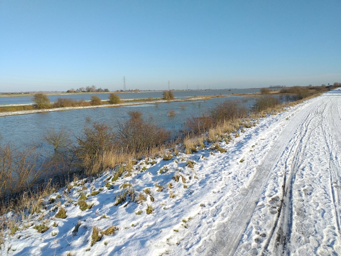 20210125_131643 - Copy.jpg