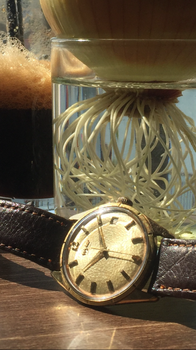 35A1D13D-2633-4964-802E-ABA125C8B088.png 35A1D13D-2633-4964-802E-ABA125C8B088.png