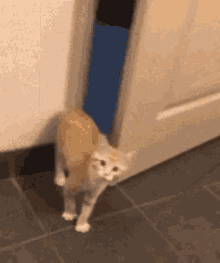 upload_2021-1-26_20-39-9.gif
