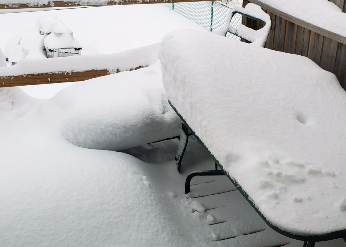 POLM snow 20210131_074211.jpg