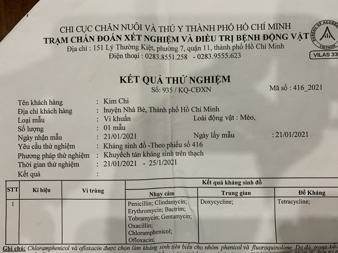 tempImagez2WV5u.png tempImagez2WV5u.png