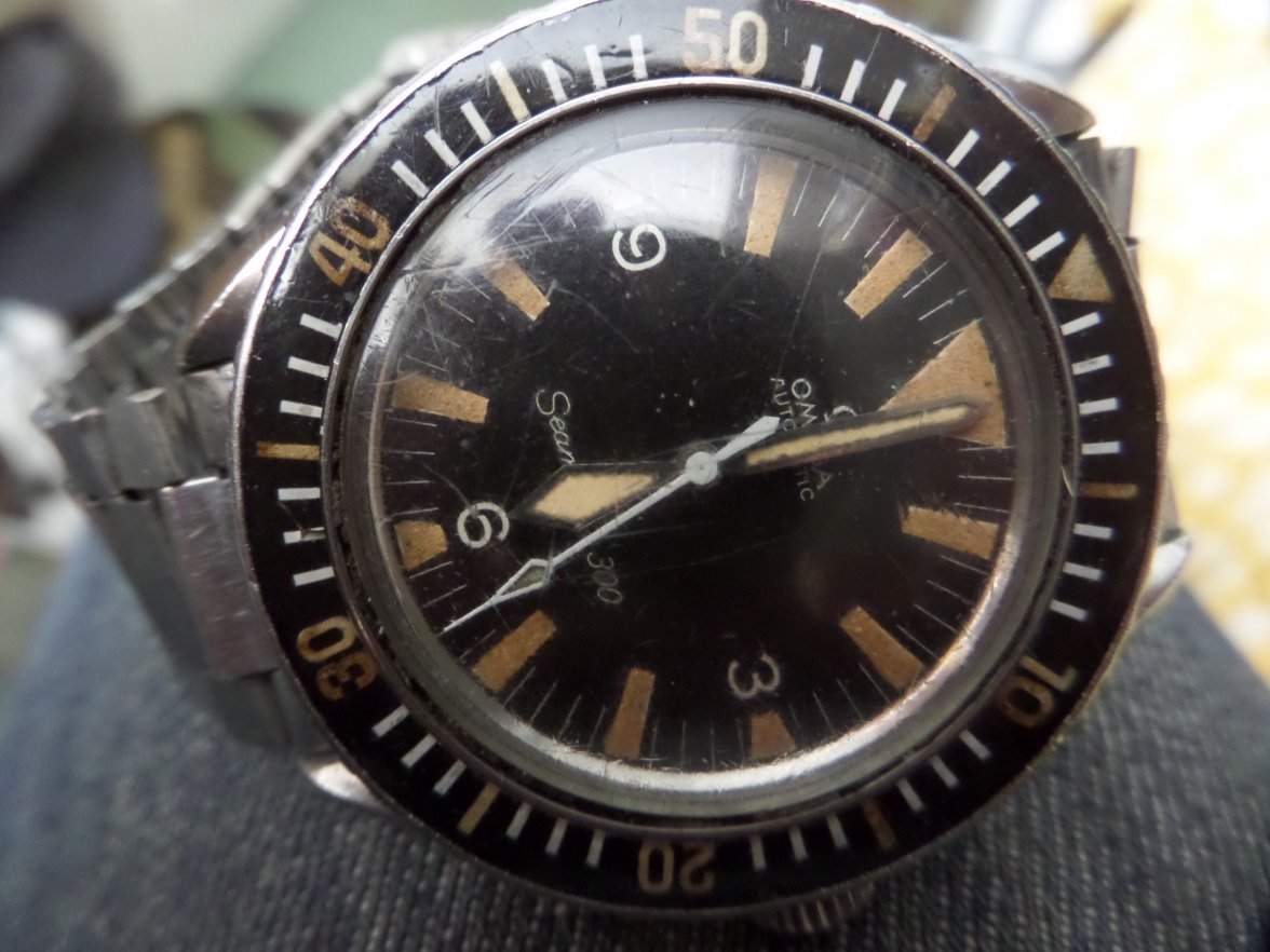 SAM_4986.JPG SAM_4986.JPG