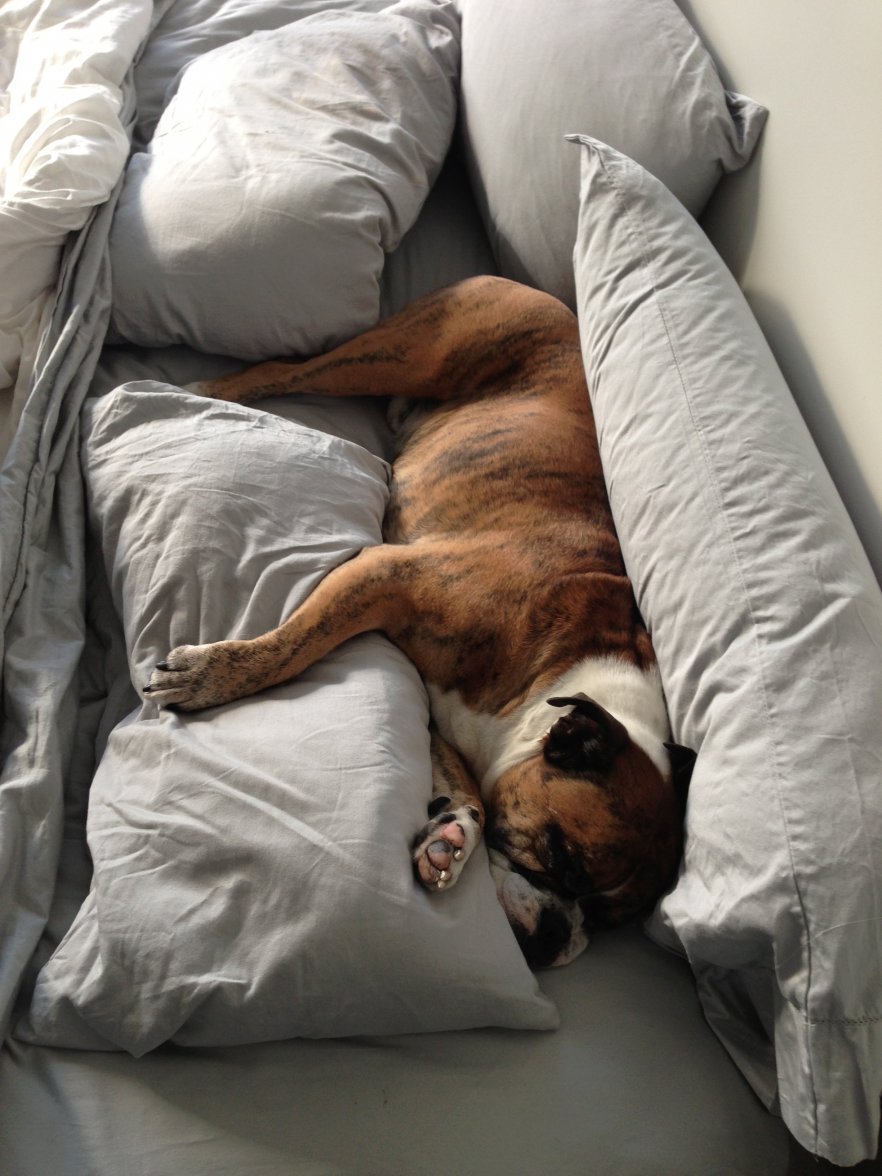 IMG_2058 copy.JPG IMG_2058 copy.JPG