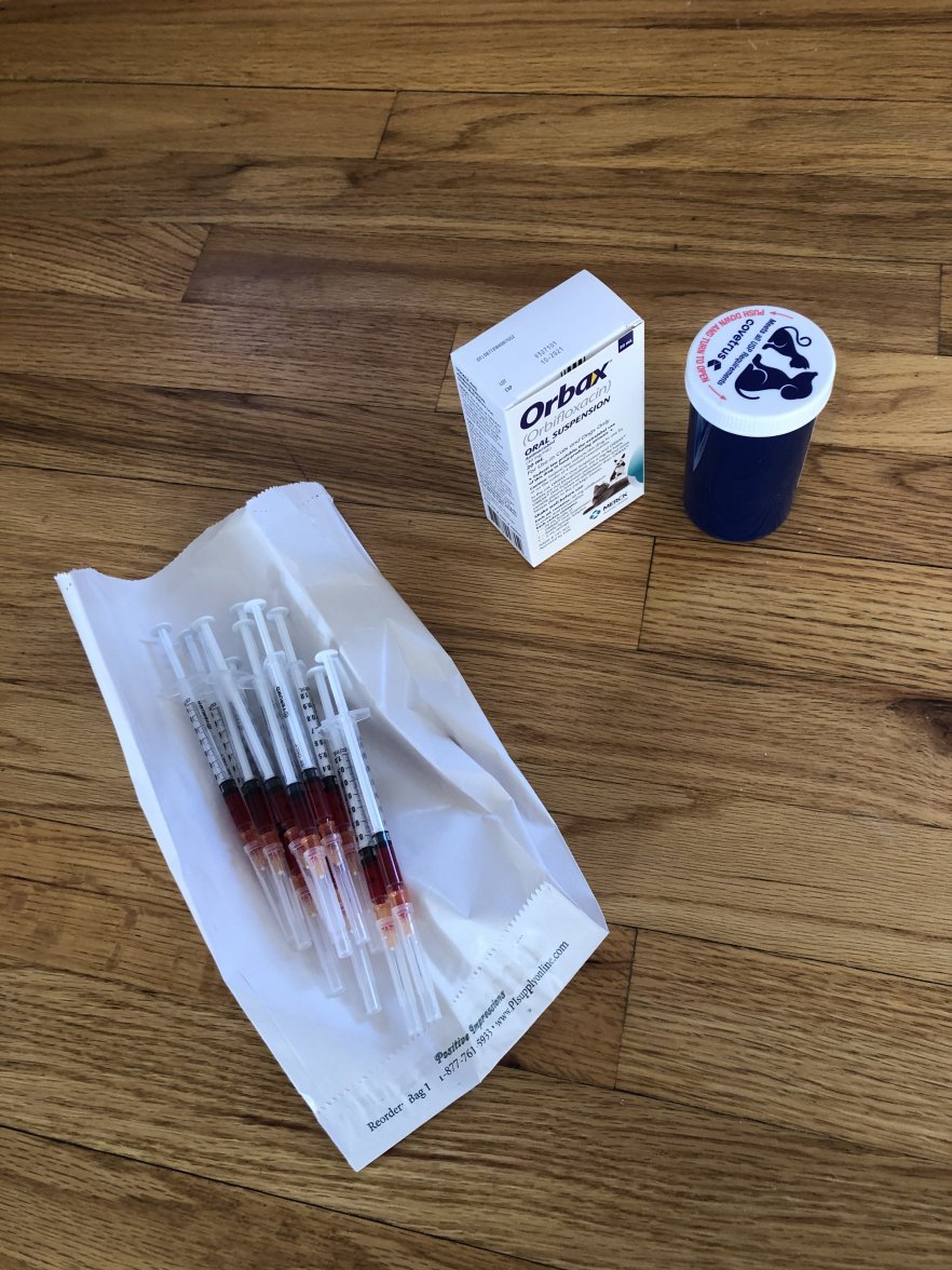 2A410579-820B-4B18-A115-021F964C98E1.jpeg 2A410579-820B-4B18-A115-021F964C98E1.jpeg