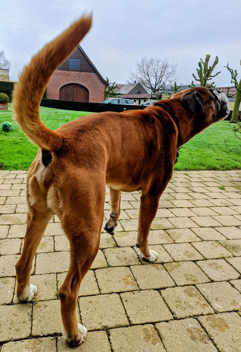 IMG_20210206_103019~2.jpg IMG_20210206_103019~2.jpg