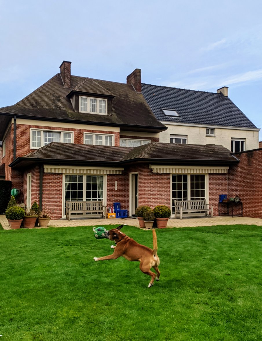 IMG_20210206_104301.jpg IMG_20210206_104301.jpg