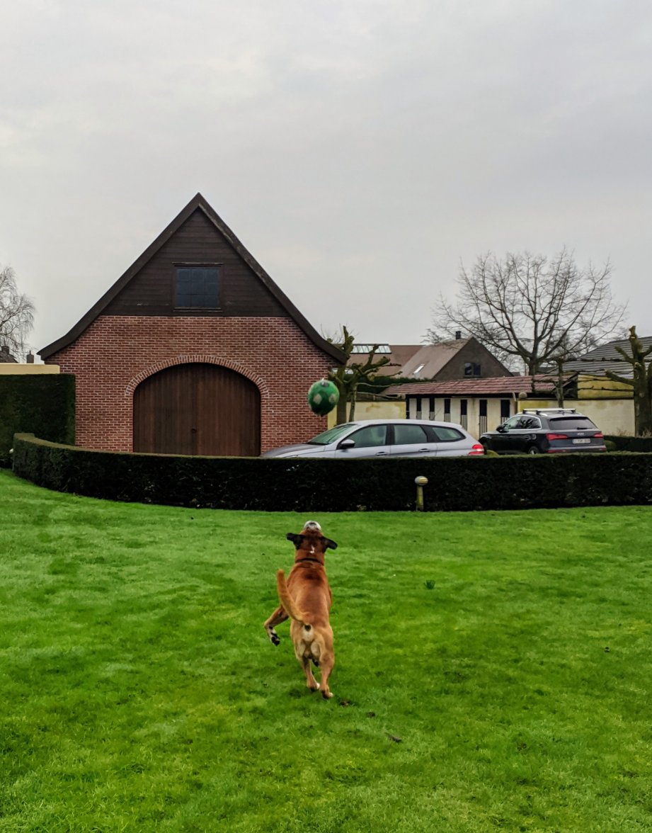 IMG_20210206_104130.jpg IMG_20210206_104130.jpg