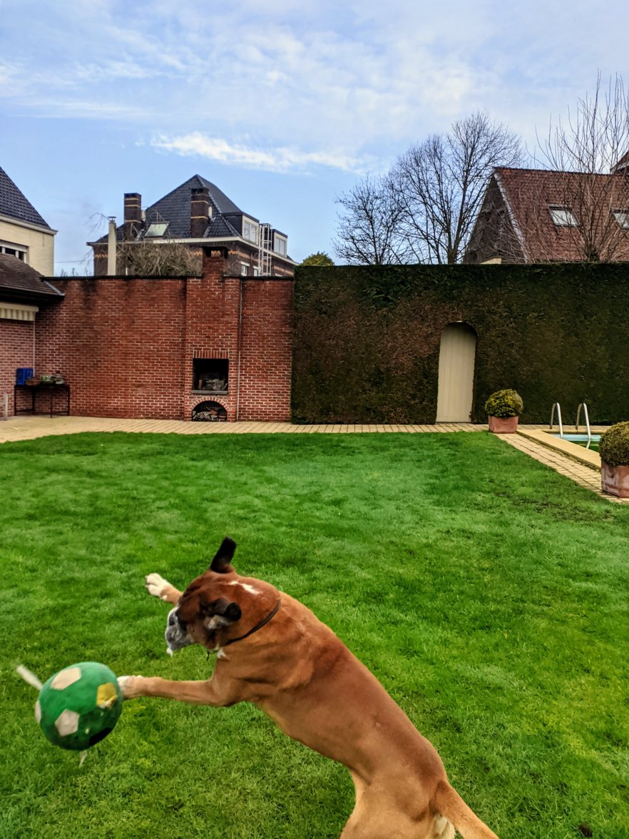 MVIMG_20210206_103958.jpg MVIMG_20210206_103958.jpg