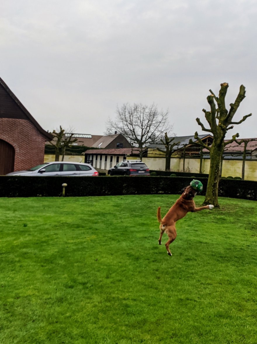 IMG_20210206_103910.jpg IMG_20210206_103910.jpg