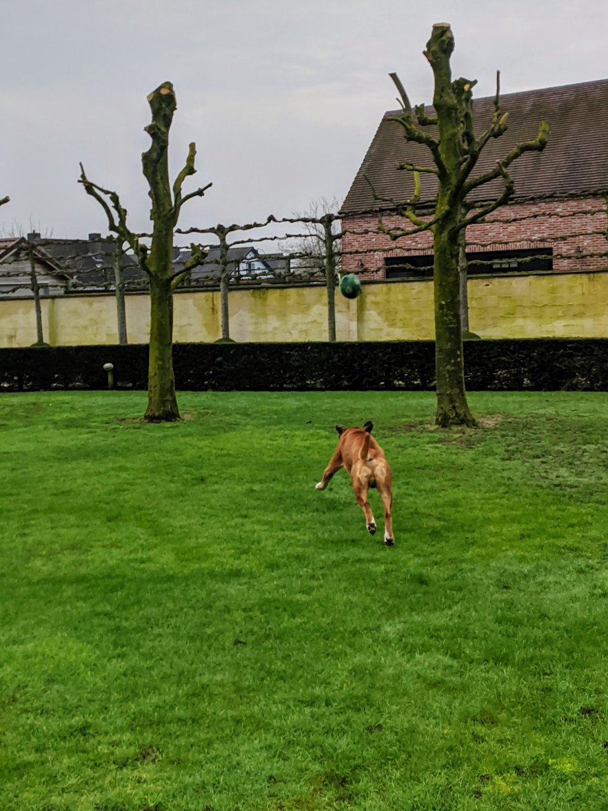 IMG_20210206_103855.jpg IMG_20210206_103855.jpg