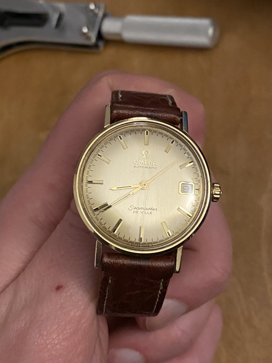 DAF13B9E-4AFD-41B1-AF8B-71AE5A94F126.jpeg DAF13B9E-4AFD-41B1-AF8B-71AE5A94F126.jpeg