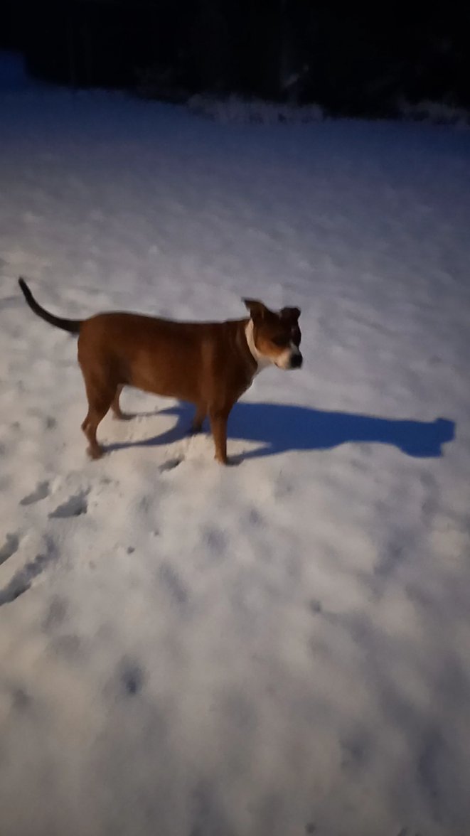 Screenshot_20210207-083710.jpg Screenshot_20210207-083710.jpg