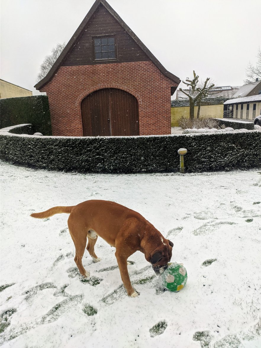 MVIMG_20210207_103351.jpg MVIMG_20210207_103351.jpg