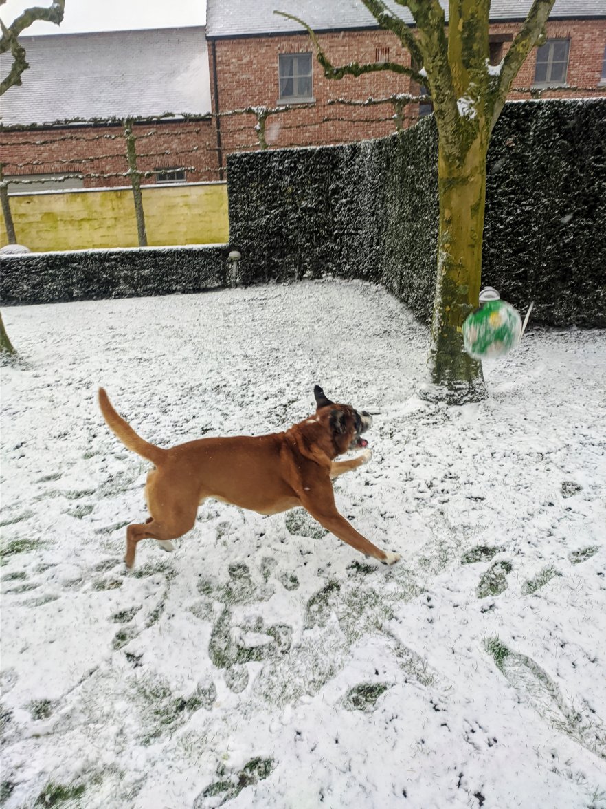 IMG_20210207_103321.jpg IMG_20210207_103321.jpg