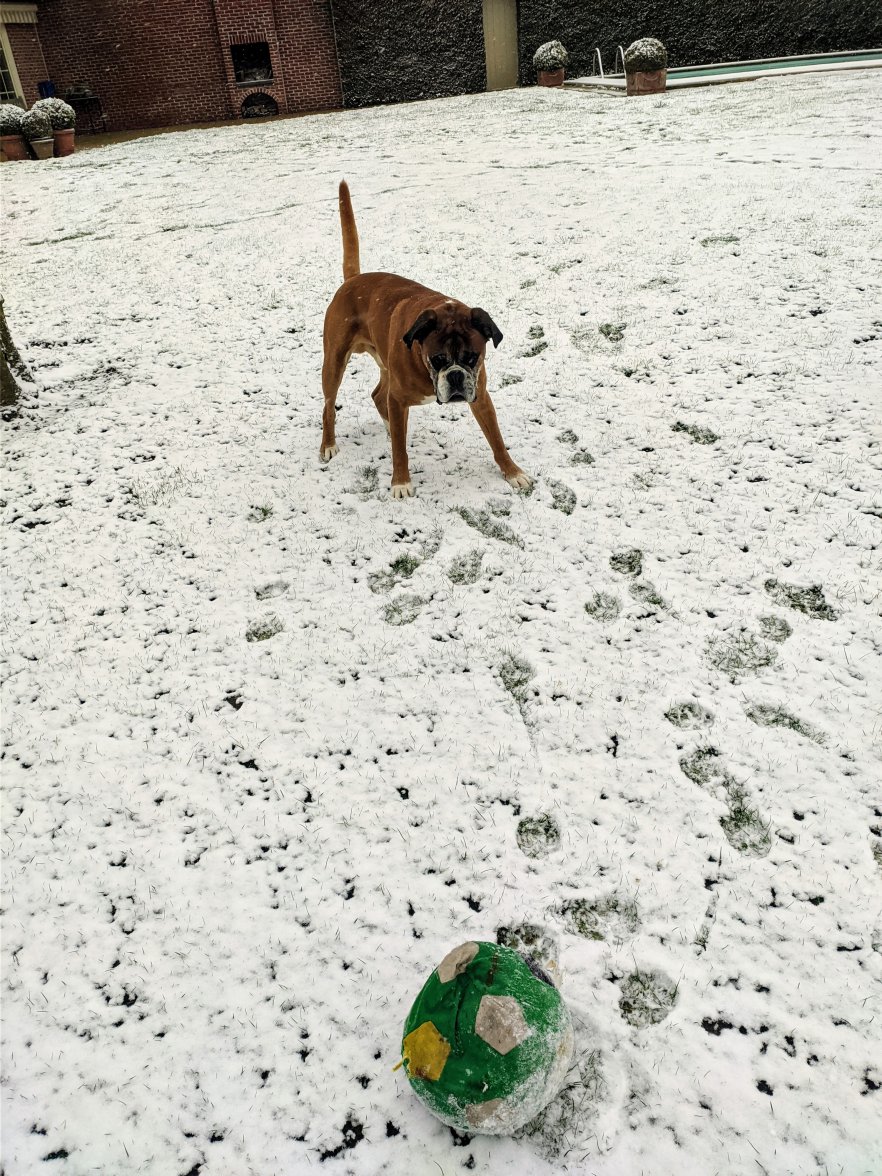 IMG_20210207_103225.jpg IMG_20210207_103225.jpg