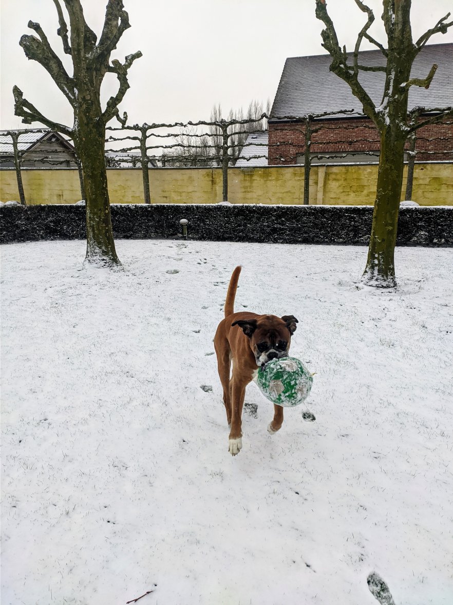 IMG_20210207_102901.jpg IMG_20210207_102901.jpg