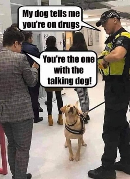 drug-dog-talking.jpg