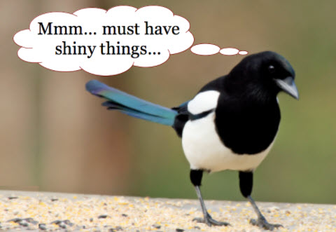magpie.jpg magpie.jpg