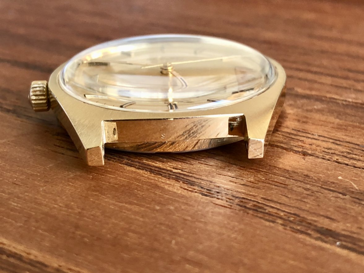 IMG_5588.jpeg IMG_5588.jpeg