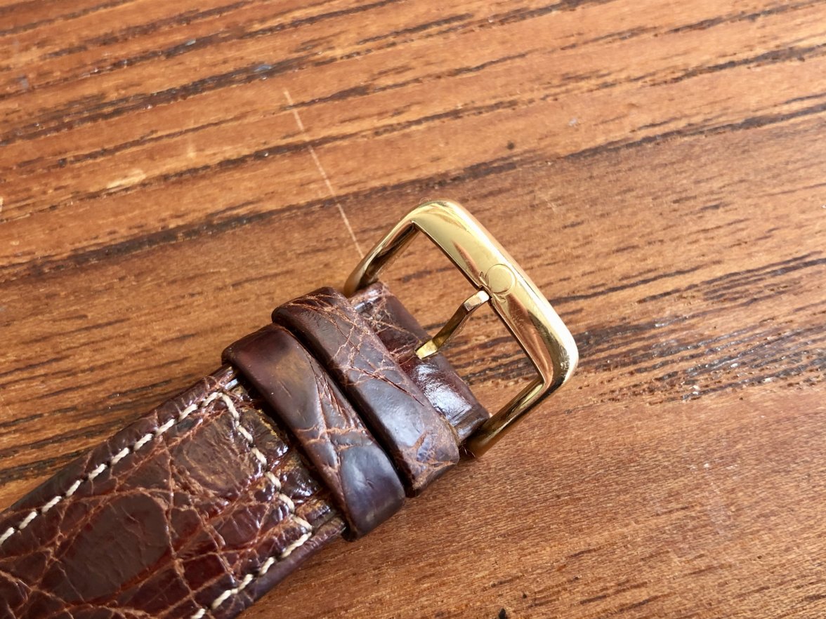 IMG_5597.jpeg IMG_5597.jpeg