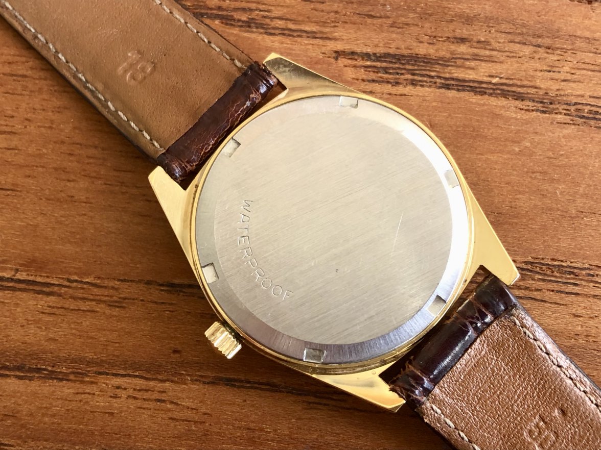 IMG_5594.jpeg IMG_5594.jpeg