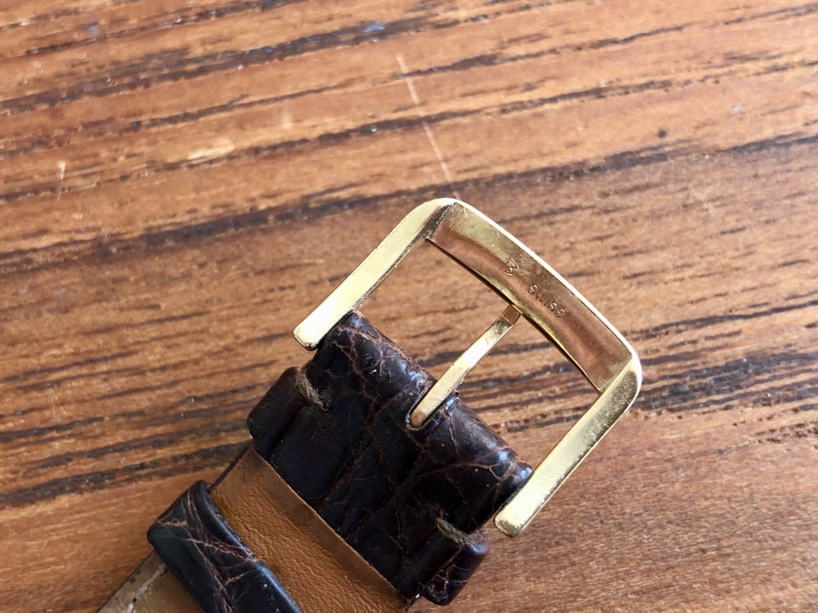 IMG_5596.jpeg IMG_5596.jpeg