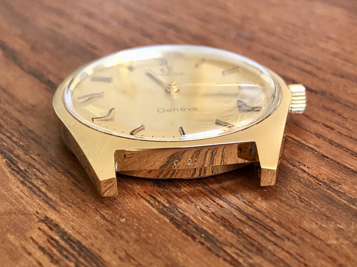 IMG_5585.jpeg IMG_5585.jpeg