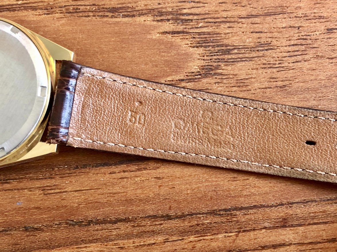 IMG_5595.jpeg IMG_5595.jpeg