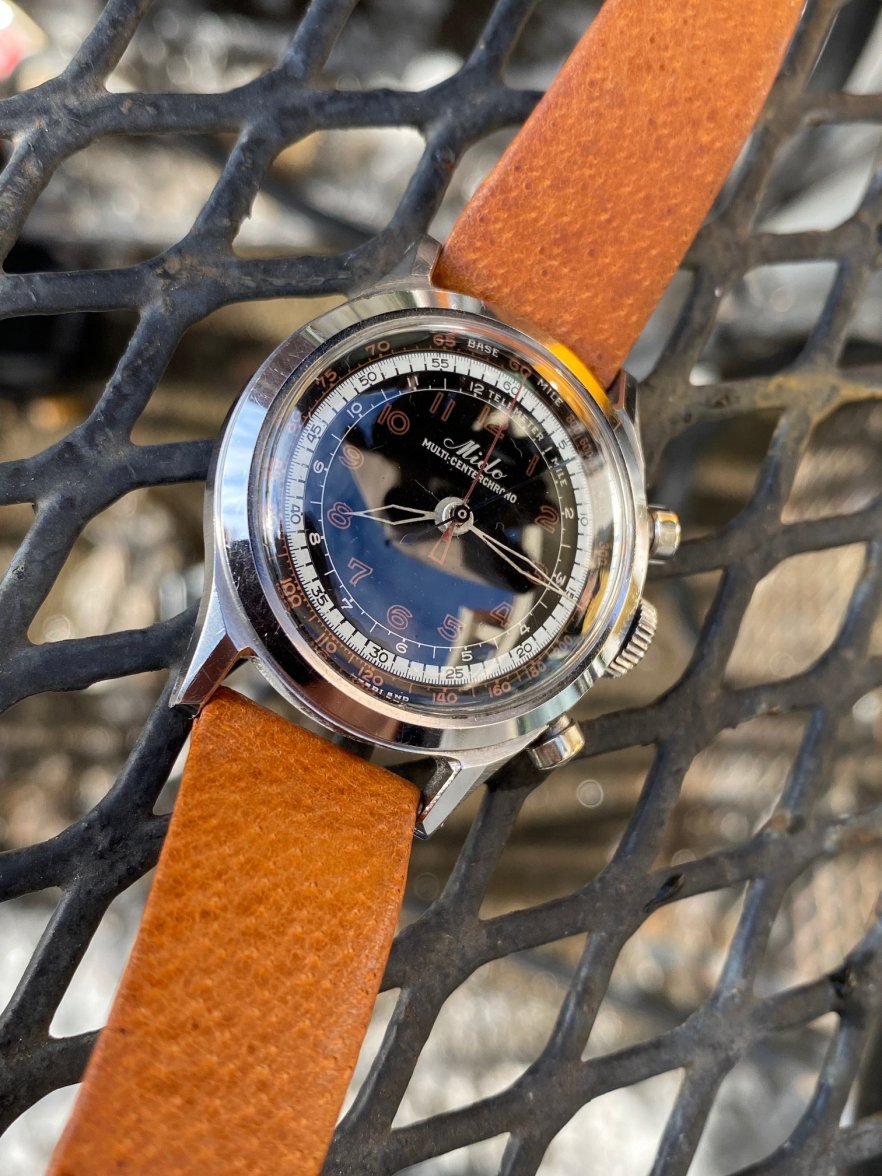 IMG_9995.JPG IMG_9995.JPG