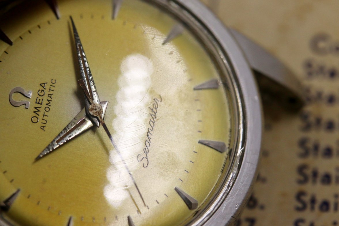 IMG_8981.jpg IMG_8981.jpg