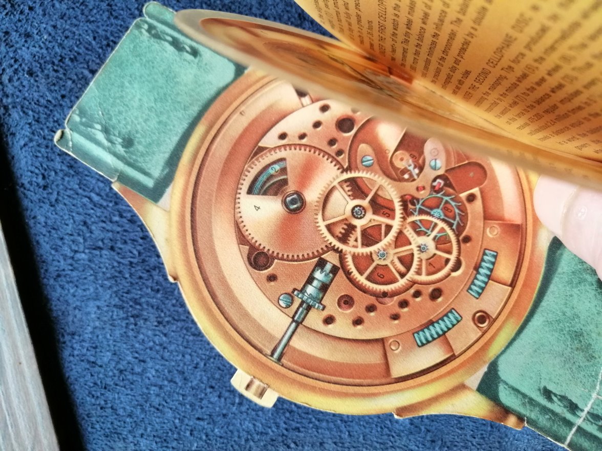 IMG_20210211_142858.jpg IMG_20210211_142858.jpg