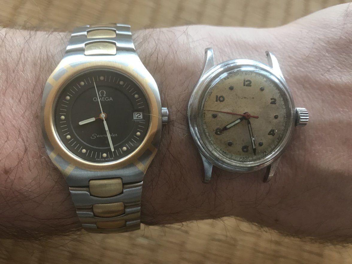 87E22FD1-F5C0-4B32-A863-C14F0610673A.jpeg 87E22FD1-F5C0-4B32-A863-C14F0610673A.jpeg