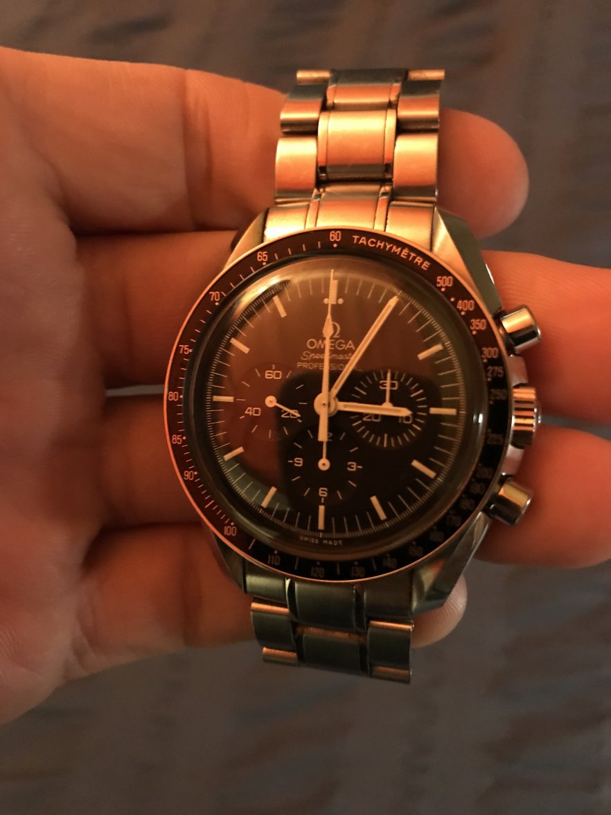 speedy1.jpg speedy1.jpg