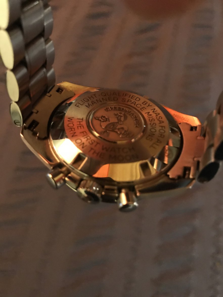 speedy6.jpg speedy6.jpg