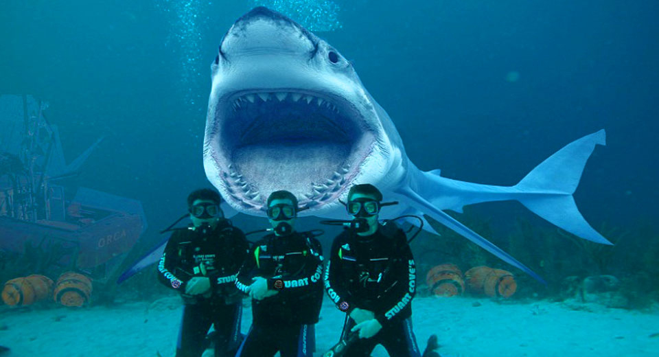 a382ffd2c31b.jpg a382ffd2c31b.jpg