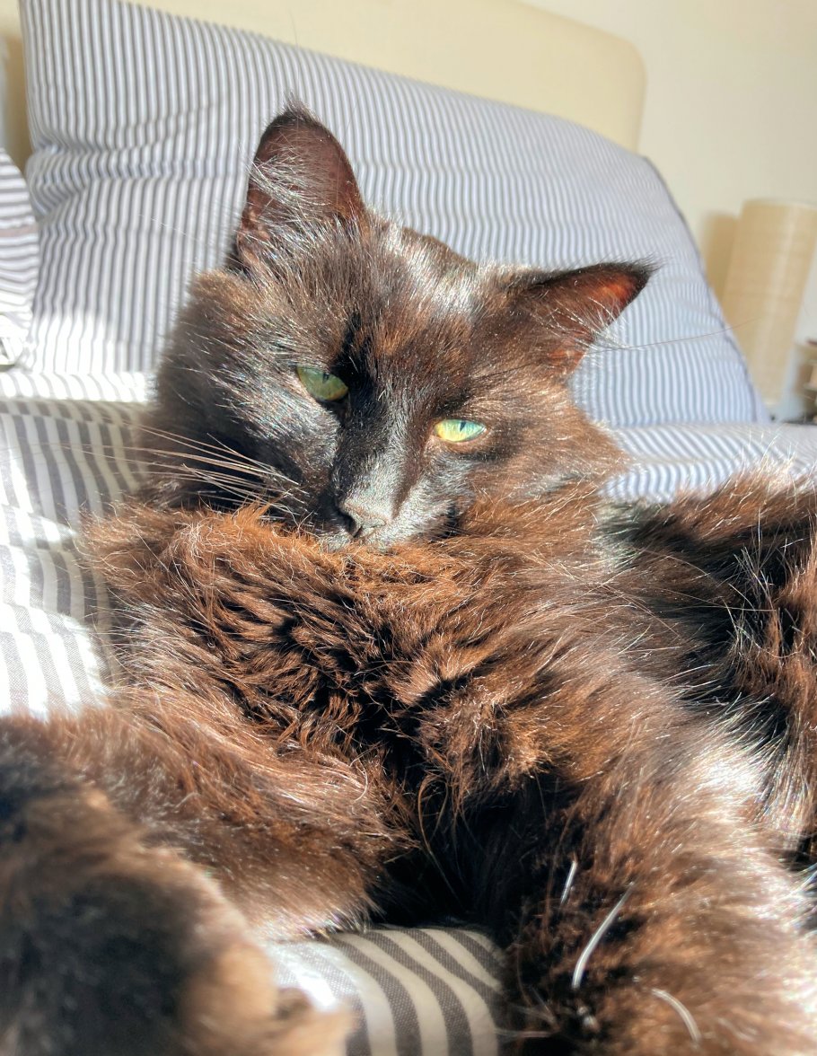 Rusty boy - Copy.jpg