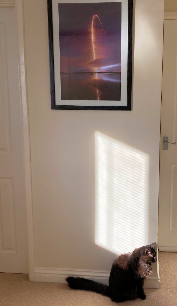 Rocket cat - Copy.jpg