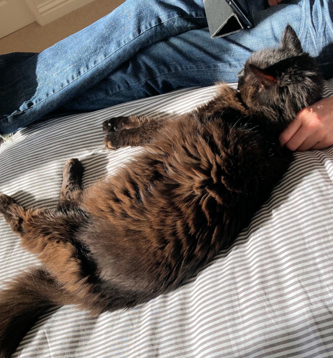 Pillow duty - Copy.jpg