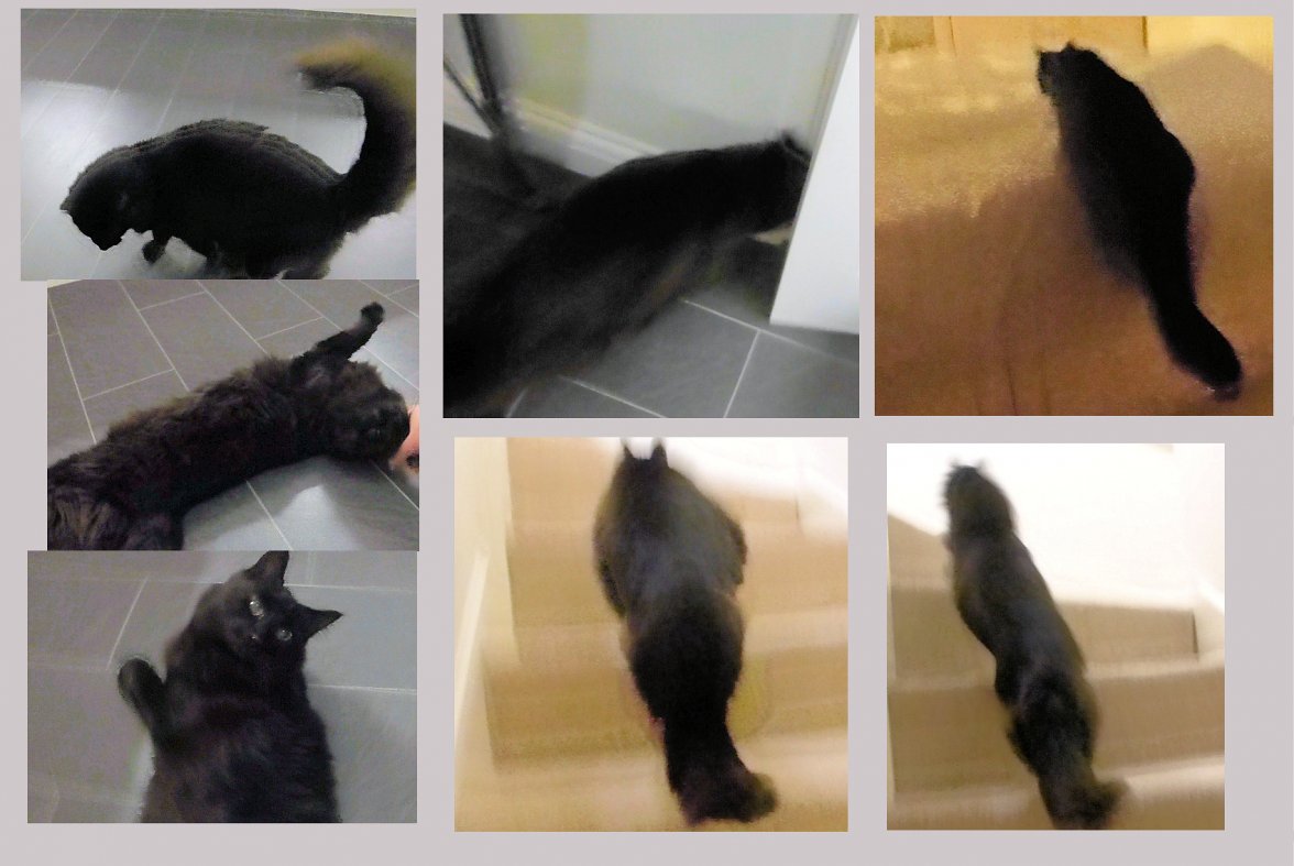 Sunday Morning Ritual - Copy.jpg