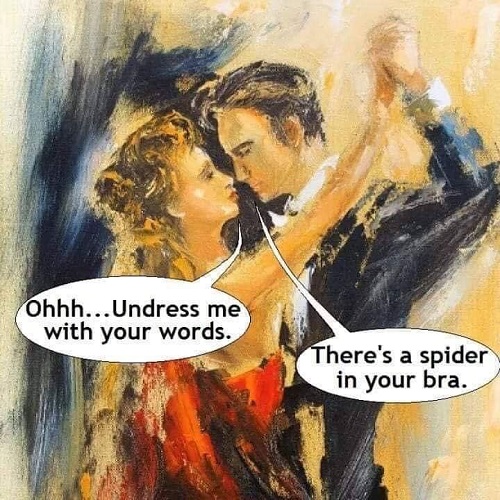 spider-in-your-bra.jpg