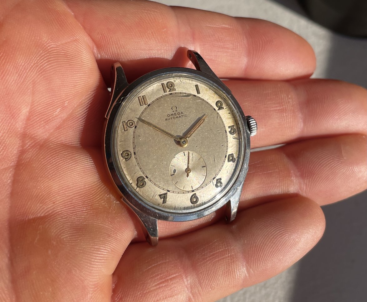 IMG_9527.jpg IMG_9527.jpg