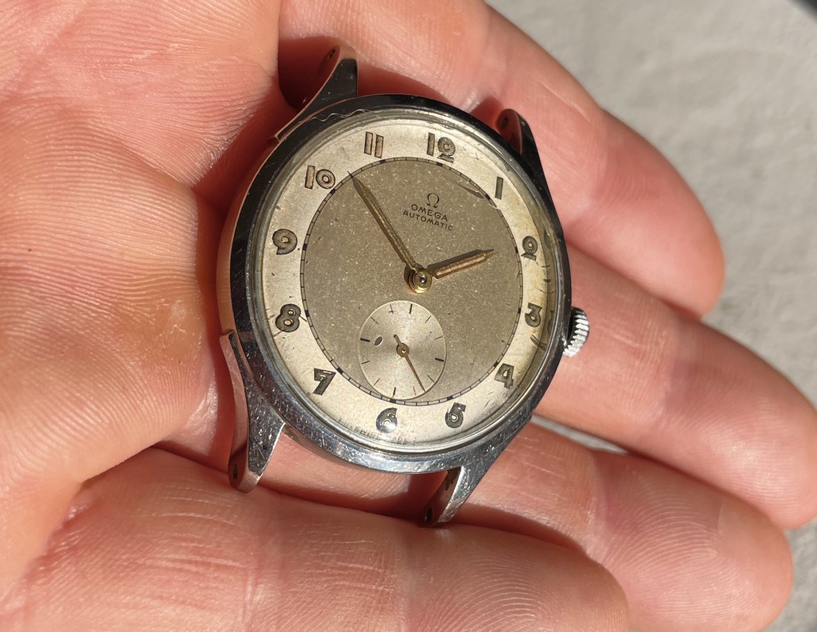 IMG_9533.jpg IMG_9533.jpg