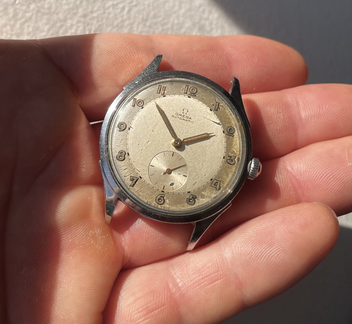 IMG_9536.jpg IMG_9536.jpg